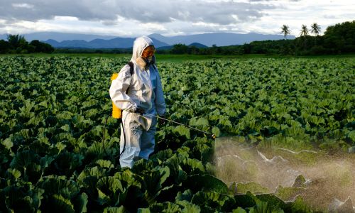 trabajo para hispanos sin papales en georgia