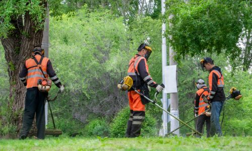 trabajos para hispanos sin papeles