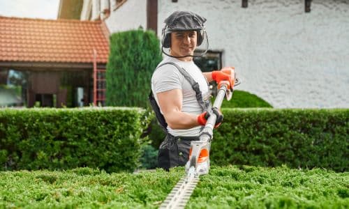 trabajos en albuquerque nuevo méxico